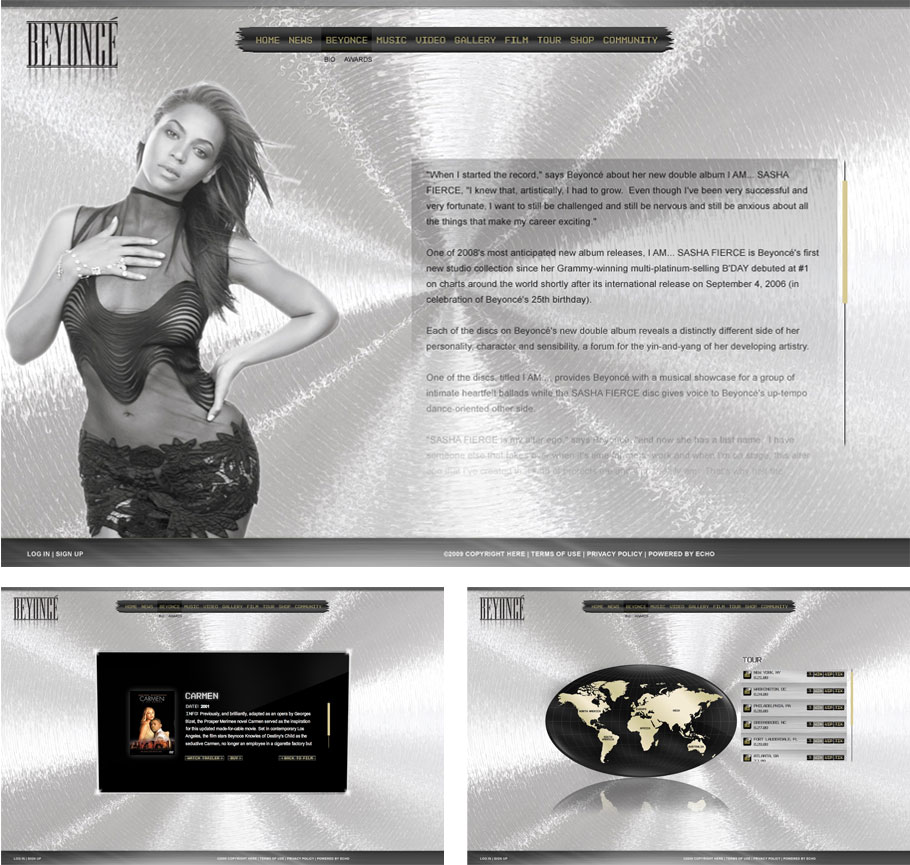 beyonce_case beyonce